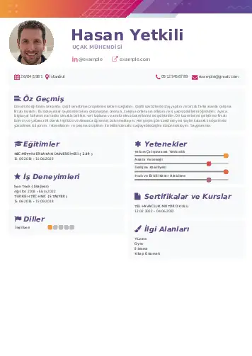 Havacılık Ve Uzay Uçak Mühendisi Cv Örnekleri cv indir
